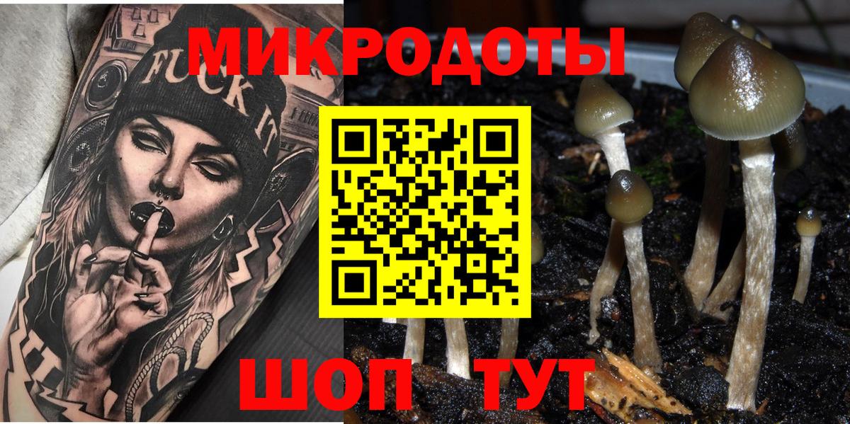 Галлюциногенные грибы MAGIC MUSHROOMS  Псилоцибиновые грибы Cubensis  Вход с VPN  Кириши 