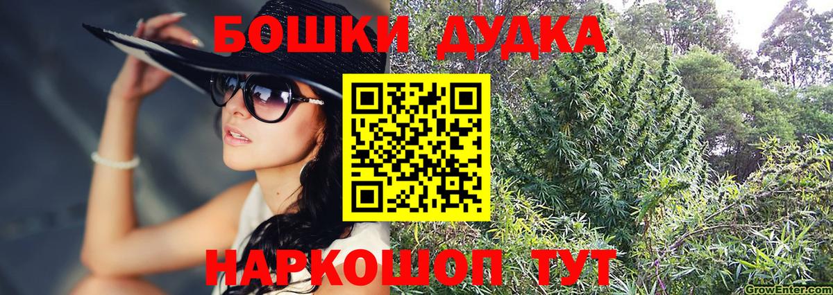 Каннабис индика Кириши
